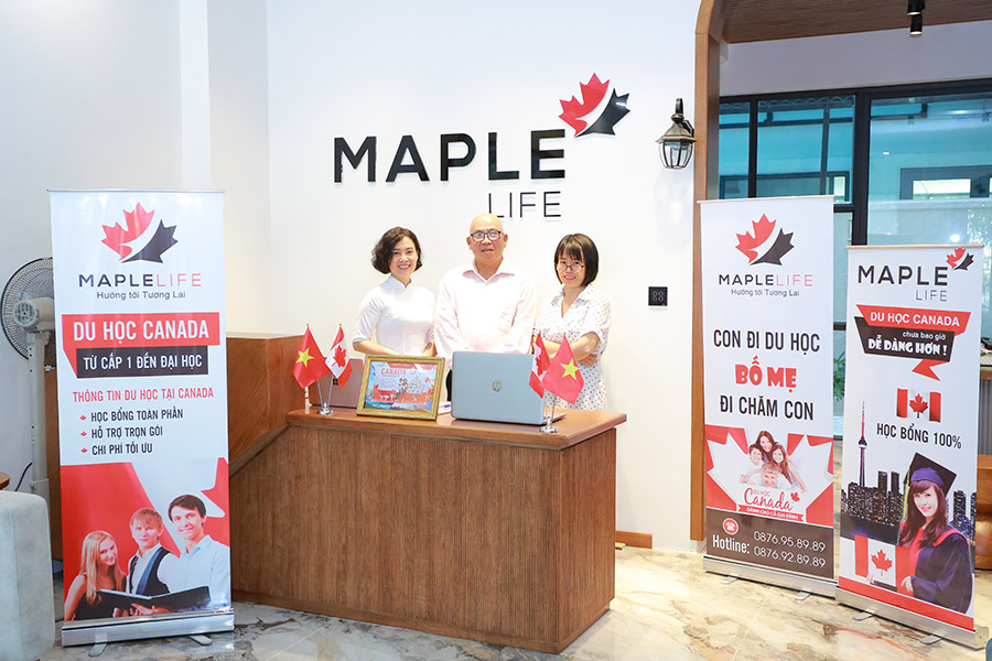 văn phòng Maple Life - 012 Global HP 04