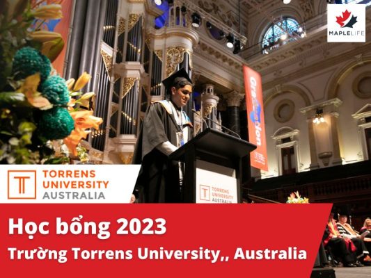 học bổng 2023 Torrens University